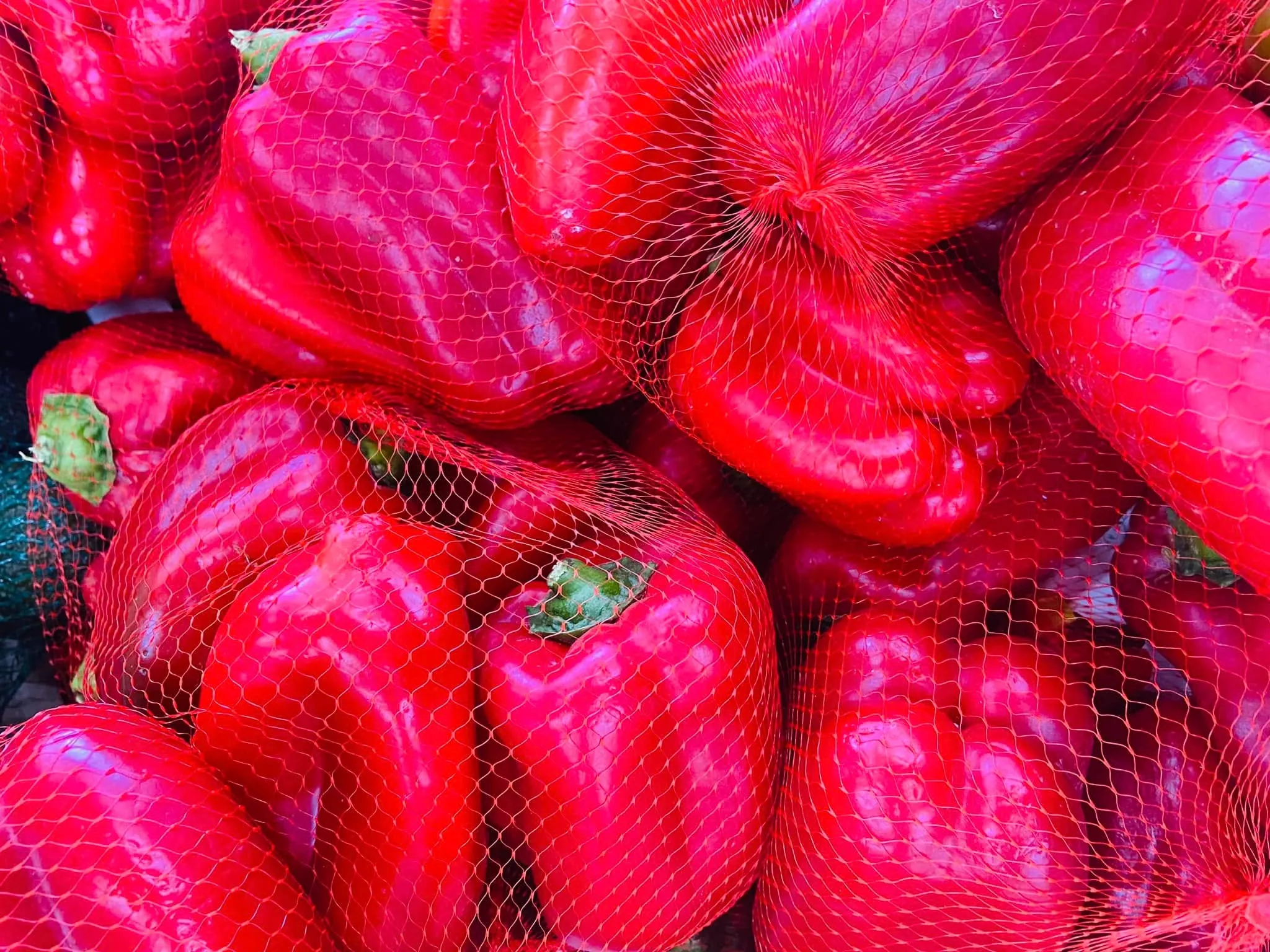 Red capsicums in a netted bag