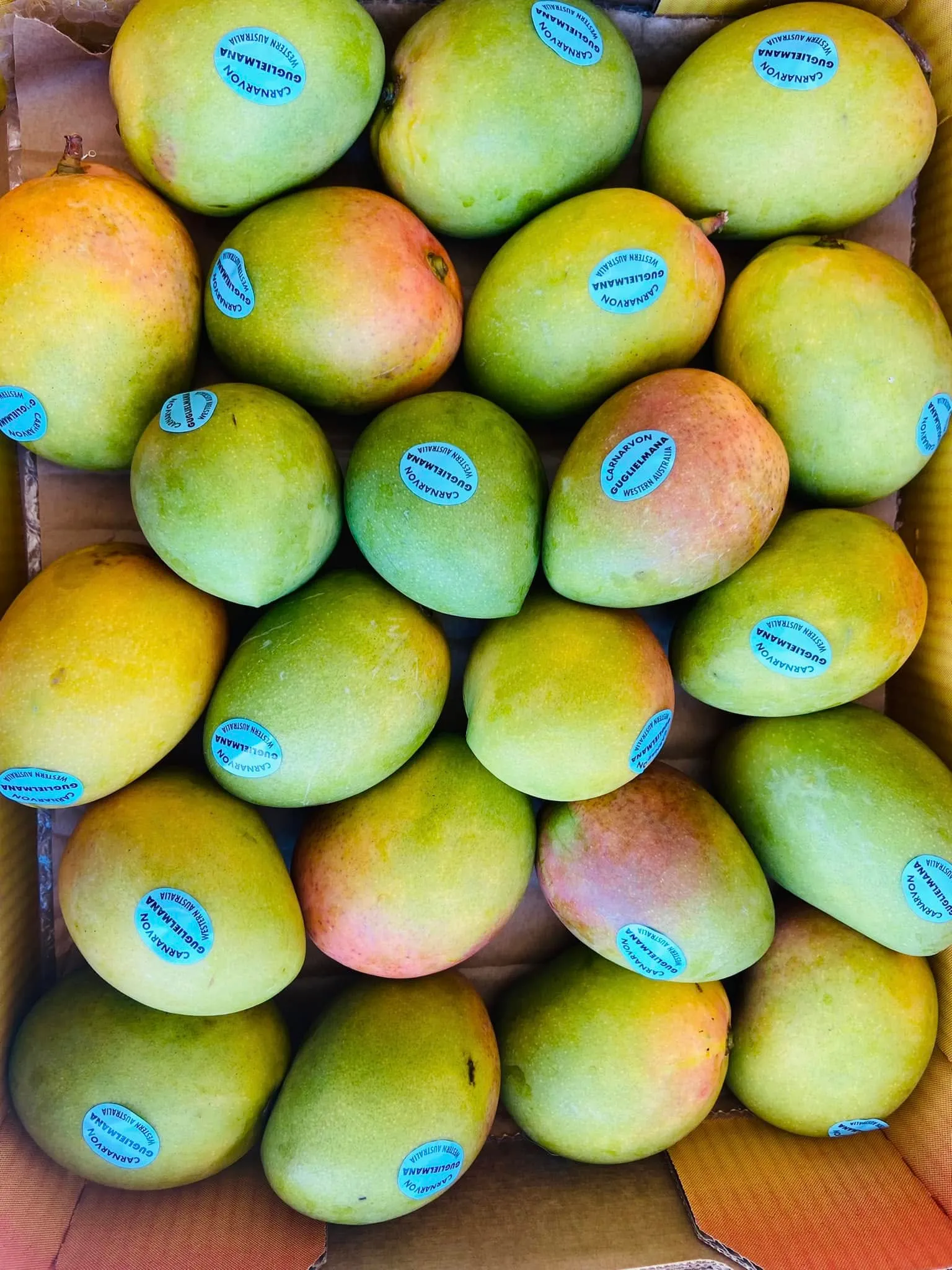 Honey-gold mangoes packed in a tray