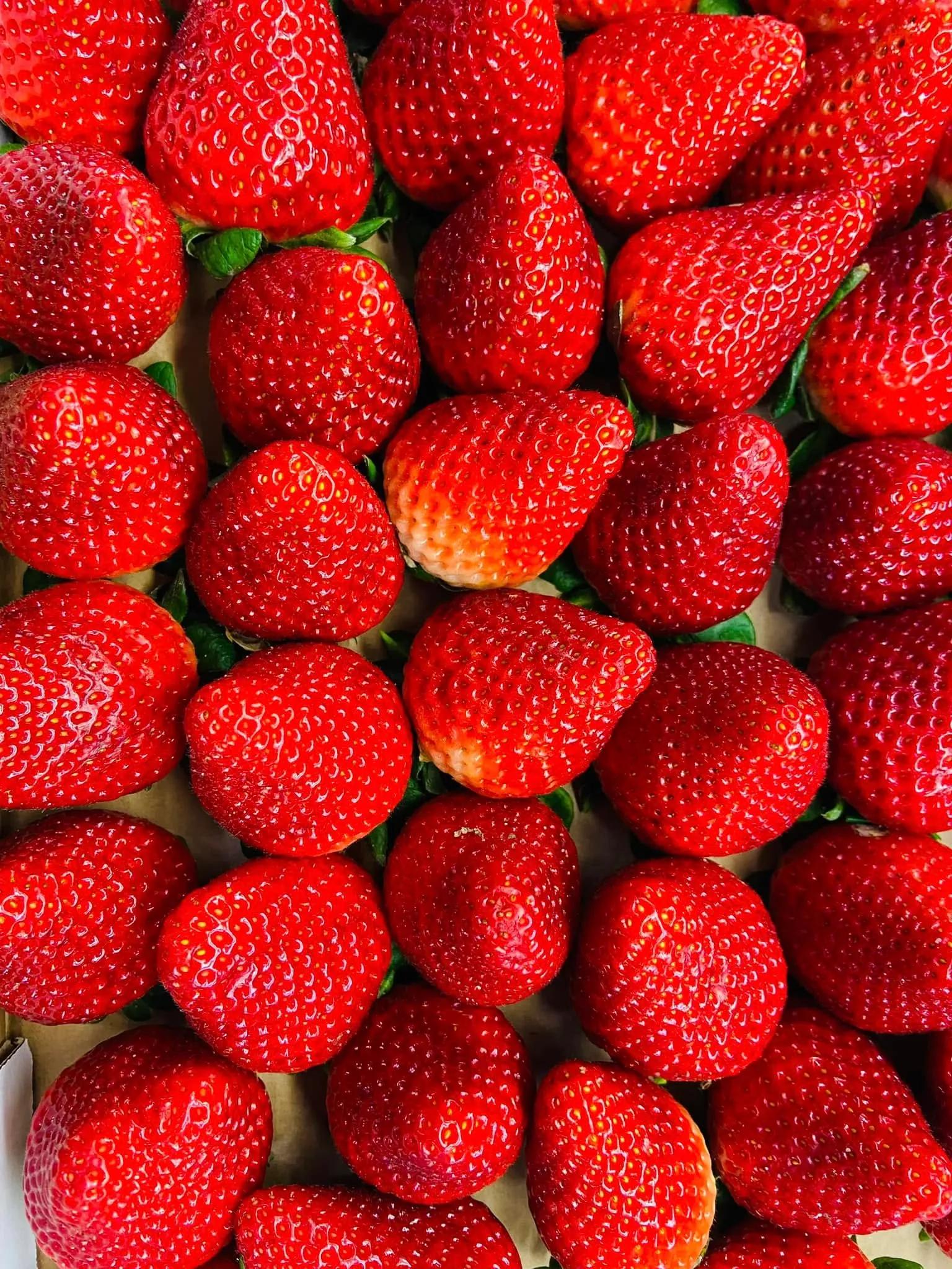 Macro shot of fresh WA strawberries packed tight, in this morning
