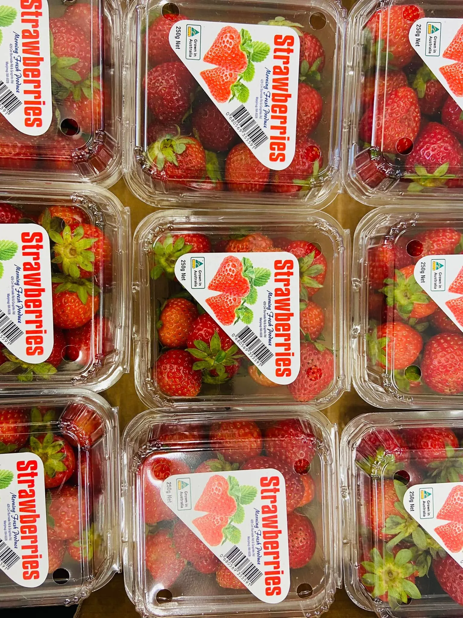 Stacks of WA strawberry punnets
