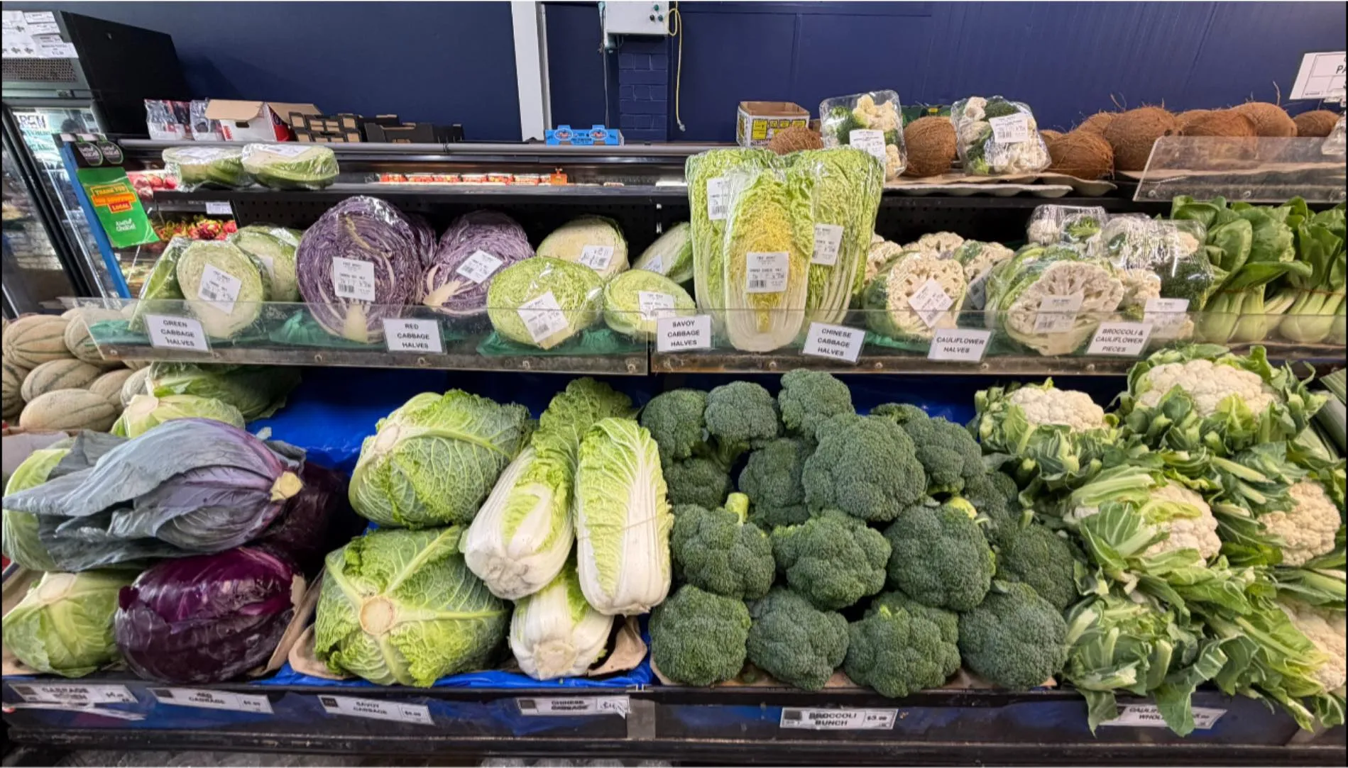 Refrigerated case with packaged lettuces and fresh greens