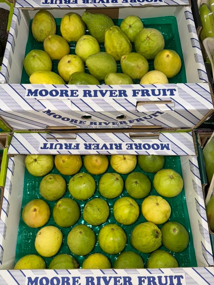 Boxes of fresh ripe guavas on the produce display